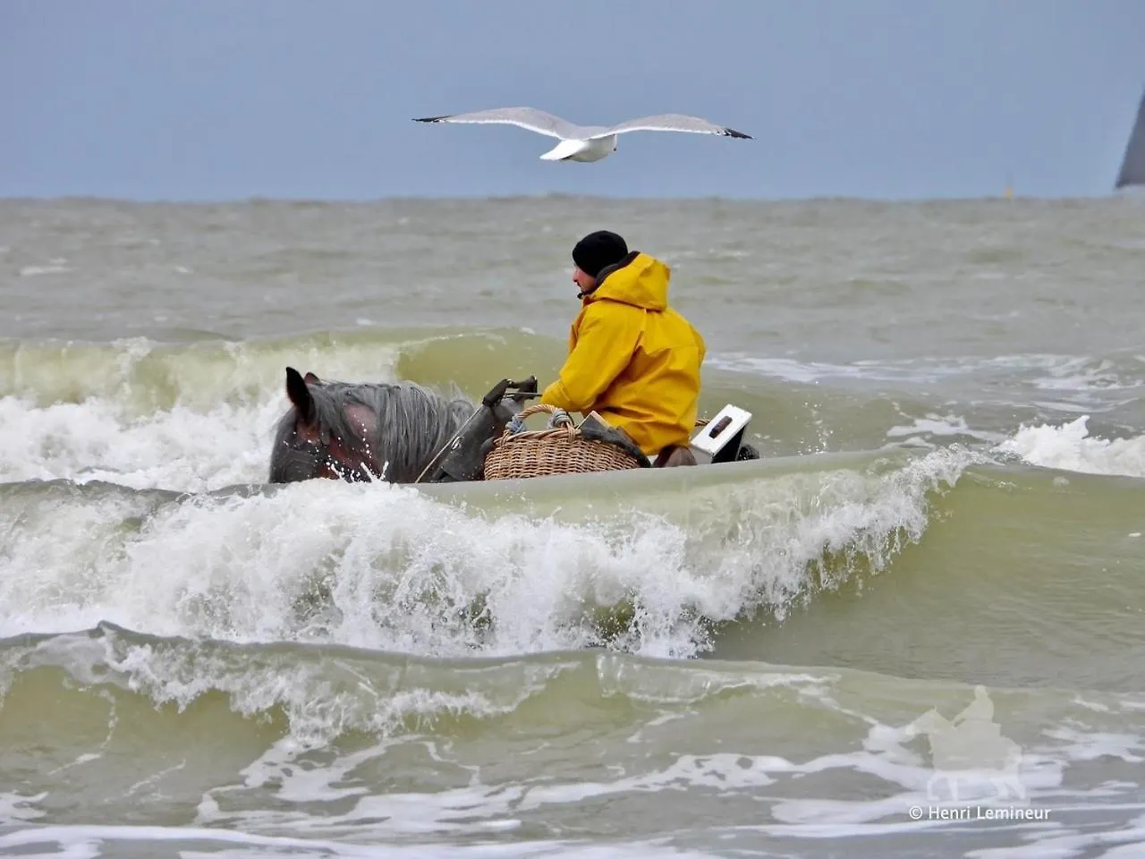 Caravan Aan Zee Arnani Middelkerke België